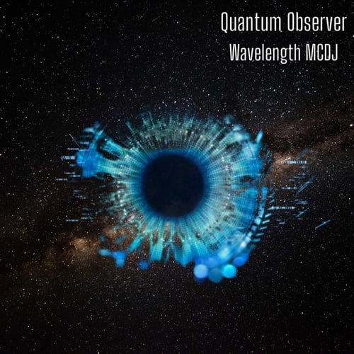 Quantum Observer