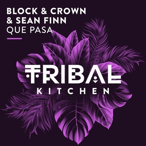 Block & Crown, Sean Finn-Que Pasa (Club Mix)