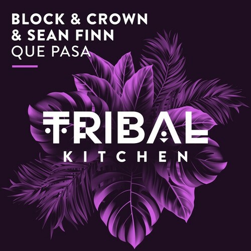 Block & Crown, Sean Finn-Que Pasa (Extended Club Mix)