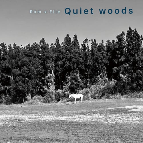 Quiet Woods