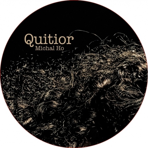 Michal Ho-Quitior