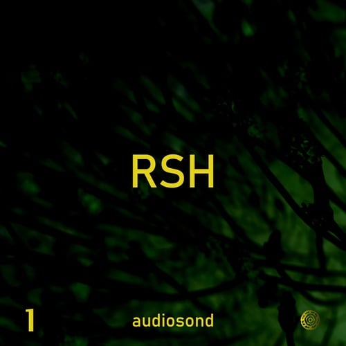 Audiosond-R.S.H., Chapter 1