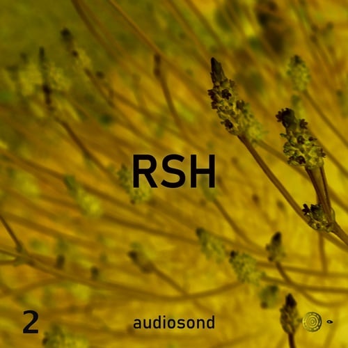 Audiosond-R.S.H, Chapter 2