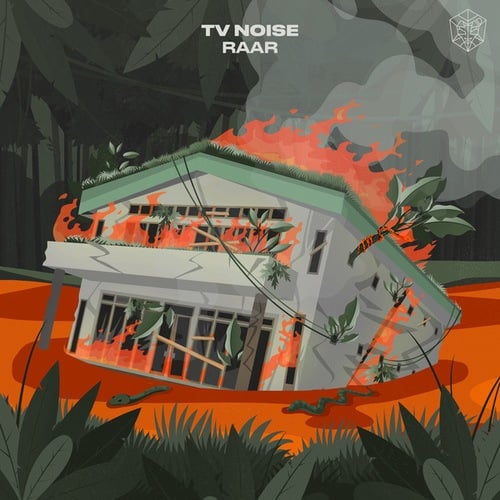 TV Noise-Raar