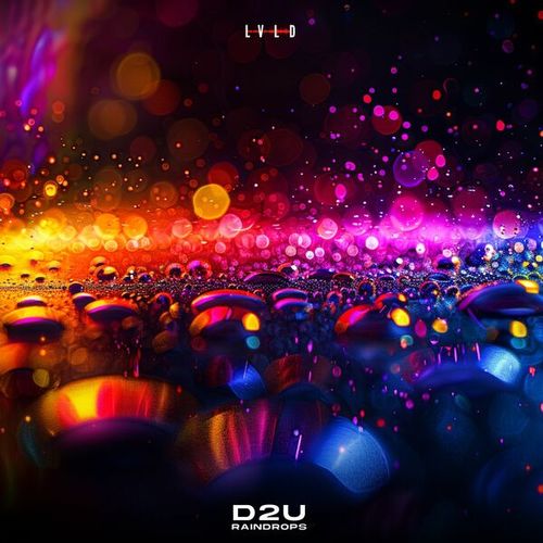 D2U-Raindrops