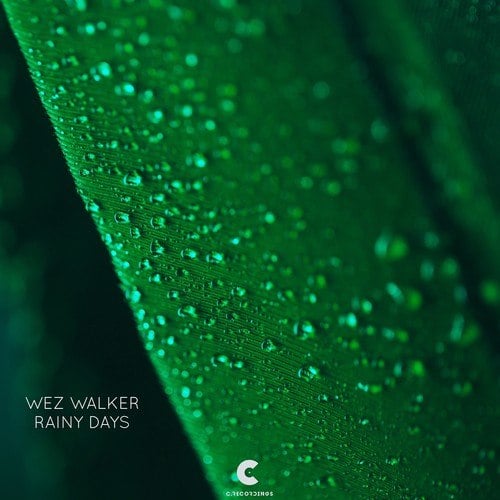 Wez Walker-Rainy Days