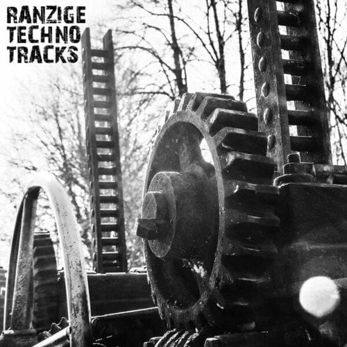 Various Artists-Ranzige Techno Tracks