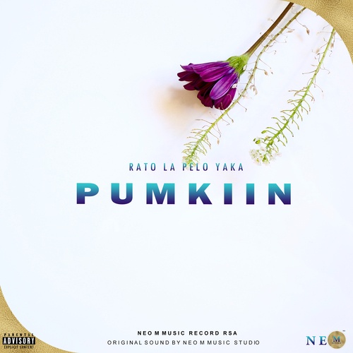 Pumkiin-Rato la Pelo Yaka