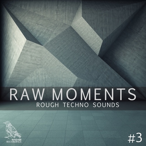 Raw Moments, Vol. 3 - Rough Techno Sounds