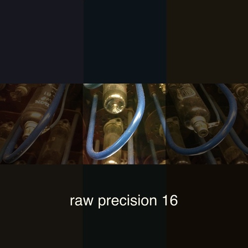 Various Artists-Raw Precision 16