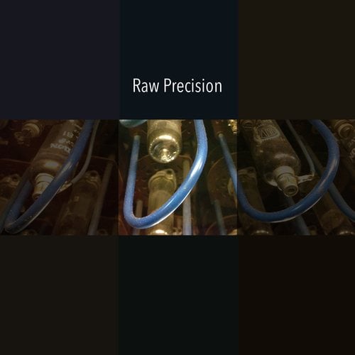 Various Artists-Raw Precision 17