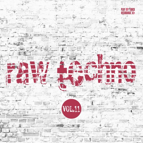 Raw Techno, Vol. 11