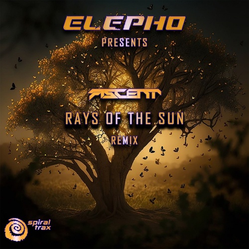 Ascent, Elepho-Rays Of The Sun