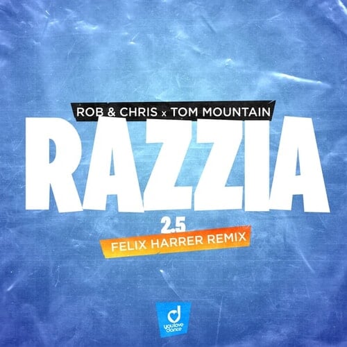 Razzia 2.5 (Felix Harrer Remix)