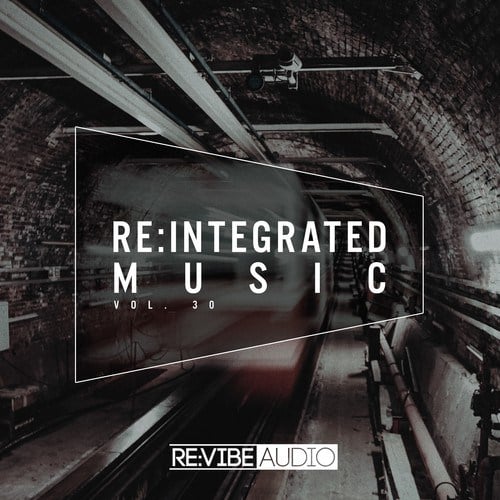 Various Artists-Re:Integrated Music Issue 30