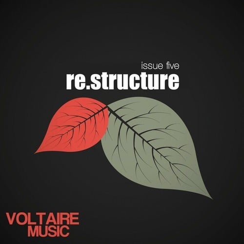 Various Artists-Re:Structure Issue Five