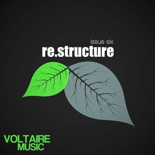 Various Artists-Re:Structure Issue Six