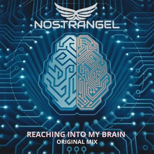 Nostrangel-Reaching into My Brain (Original Mix)