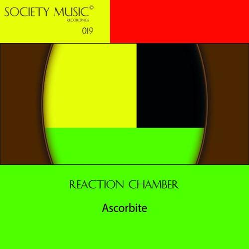 Reaction Chamber