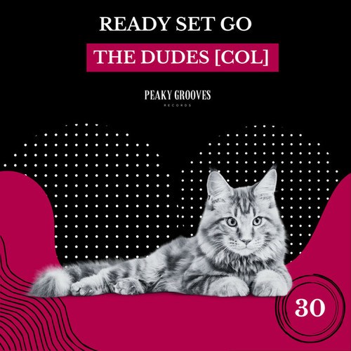 The Dudes [COL]-Ready Set Go