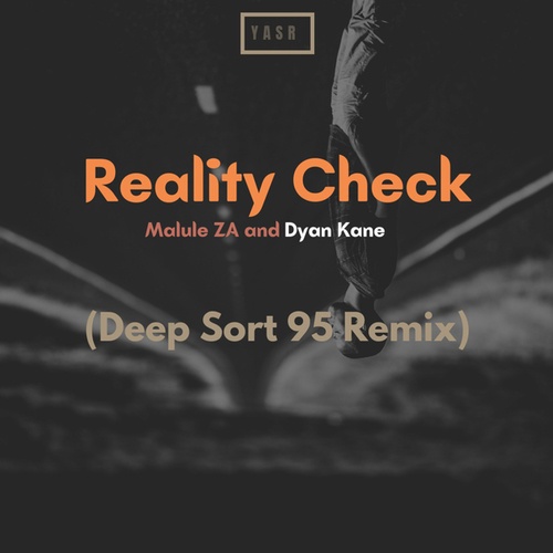 Malule ZA, Dyan Kane, Deep Sort 95-Reality Check (Deep Sort 95 Remix)