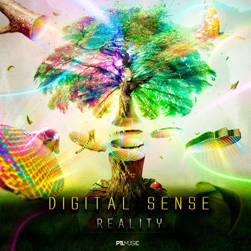 Digital Sense-Reality