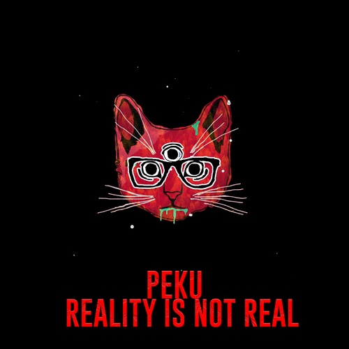 Peku-Reality Is Not Real