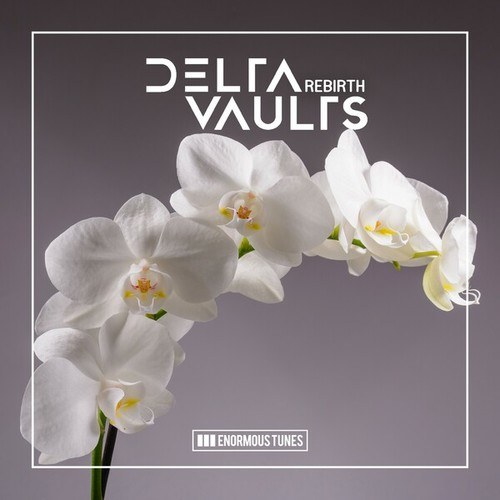 Delta Vaults-Rebirth