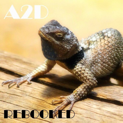 A2D-Rebooked