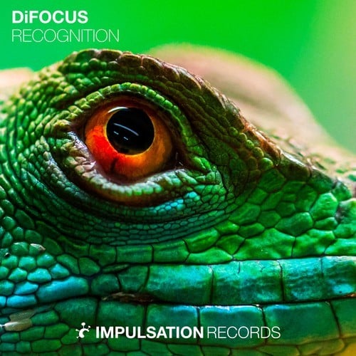 DiFOCUS-Recognition