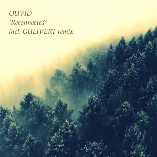 Ouvid, Gulivert-Reconnected