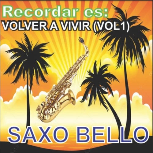 RECORDAR ES VOLVER A VIVIR (VOL.1)