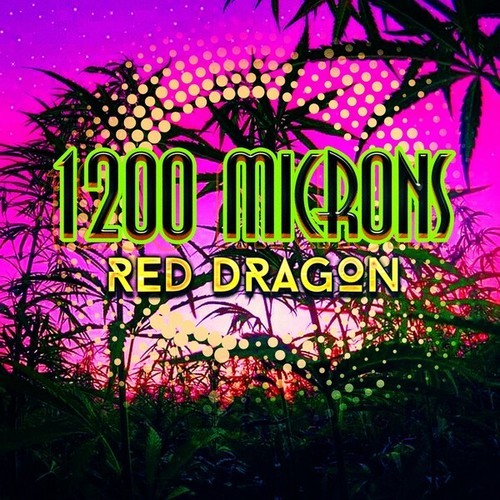 1200 Microns-Red Dragon