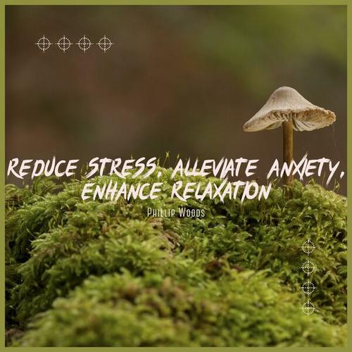 Reduce Stress, Alleviate Anxiety, Enhance Relaxation