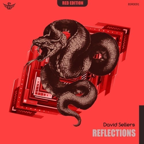 David Sellers-Reflections