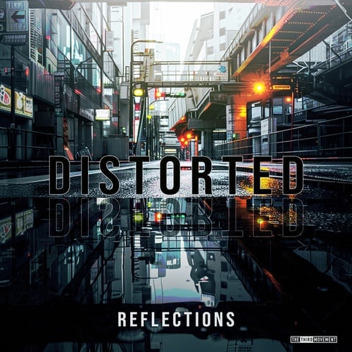 Distorted-Reflections