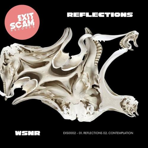 WSNR-Reflections