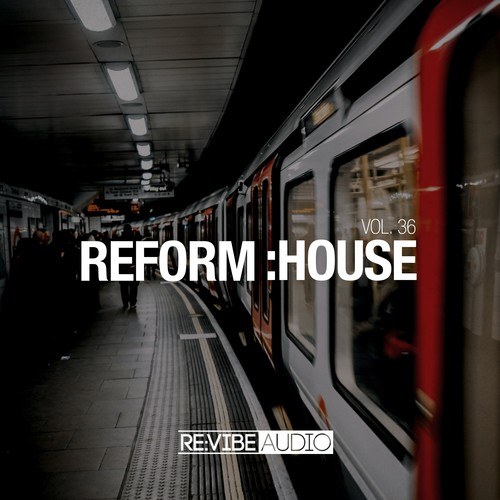 Various Artists-Reform:House, Vol. 36