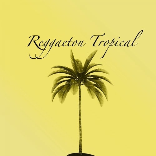 Reggaeton Tropical