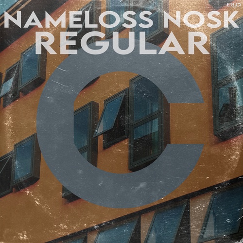 Nameloss Nosk-Regular