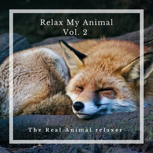 Relax My Animal (Vol. 2)