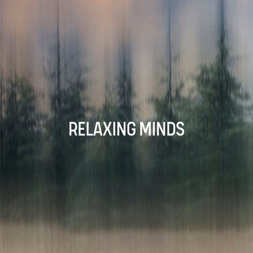 Relaxing Minds