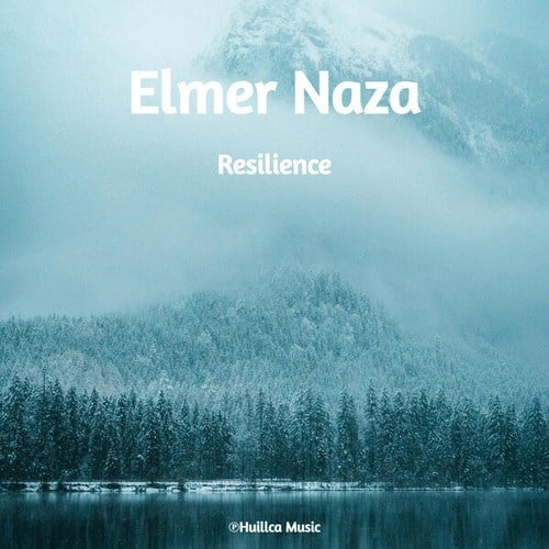 Resilience