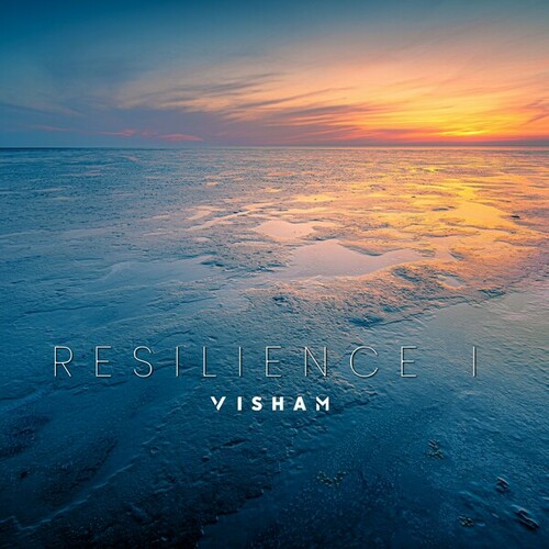 Resilience I