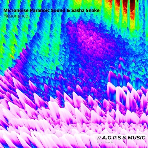 Micronoise Paranoic Sound, Sasha Snake-Resonance