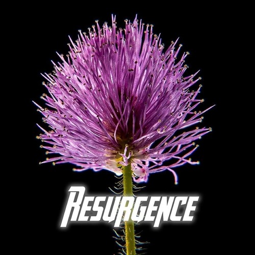 Various Artists-Resurgence