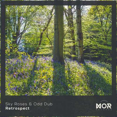 Sky Roses, Odd Dub-Retrospect