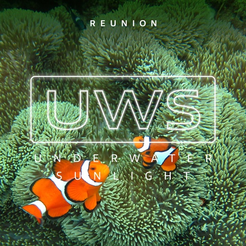 Underwater Sunlight-Reunion