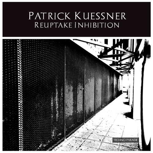 Patrick Kuessner-Reuptake Inhibition