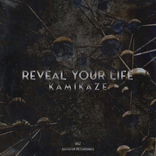 Kamikaze, Lazy Ann-Reveal Your Life